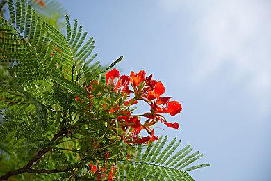 《心灵杀手2》开发者在新视频中回顾总结系列剧情